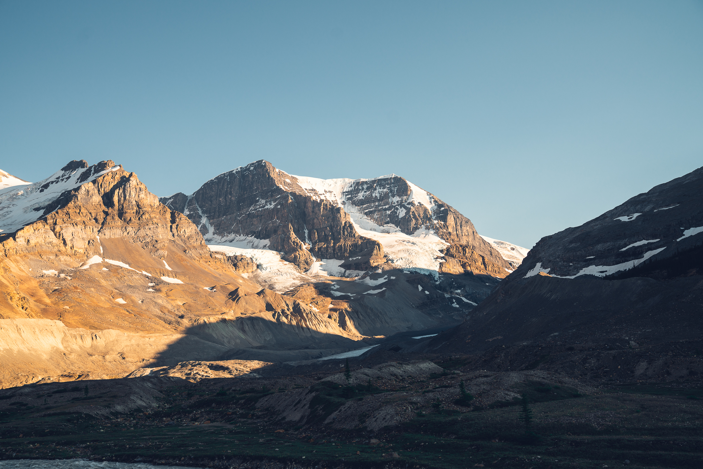 Voice survey example